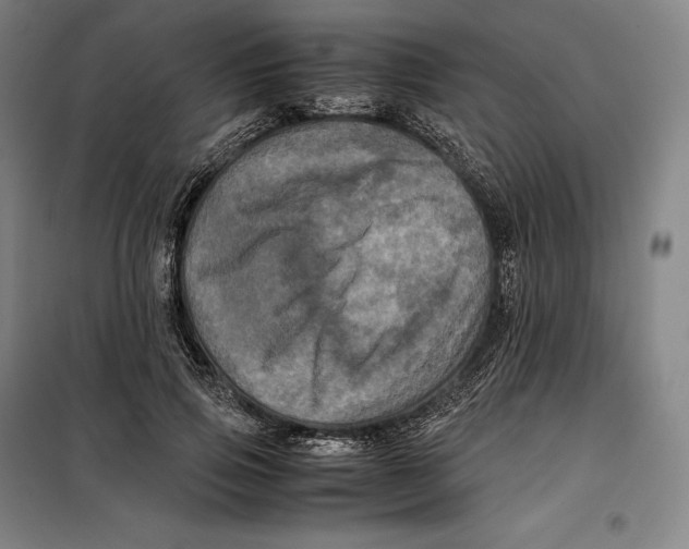 X0000099470741200805301555