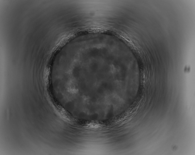 X0000099470742200805301555