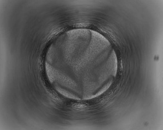 X0000099470743200805301555