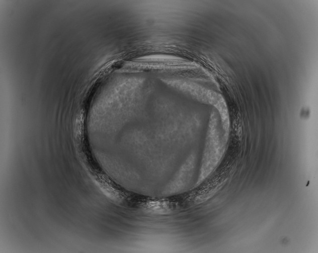 X0000099470744200805301555