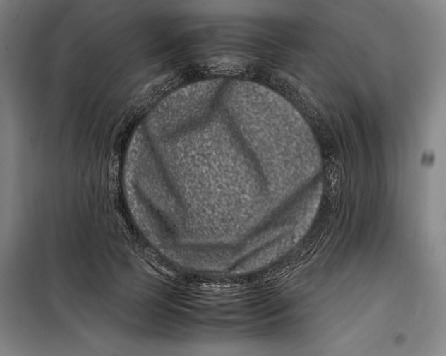 X0000099470745200805301555