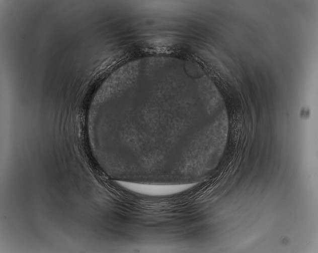 X0000099470747200805301556