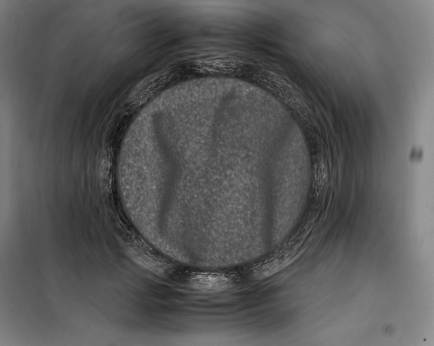 X0000099470749200805301556