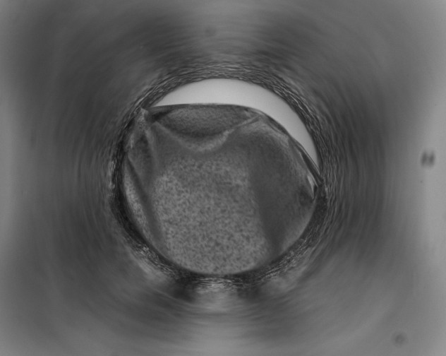 X0000099470750200805301556