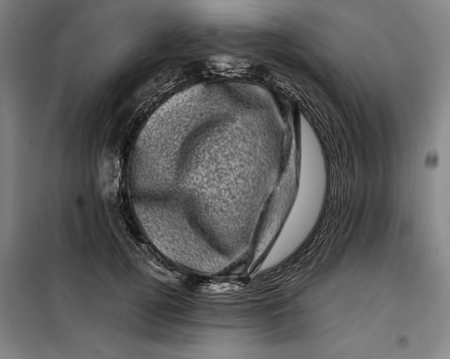 X0000099470752200805301556