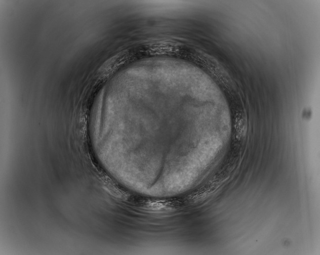 X0000099470753200805301556