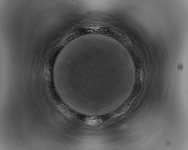 X0000099470754200805301556