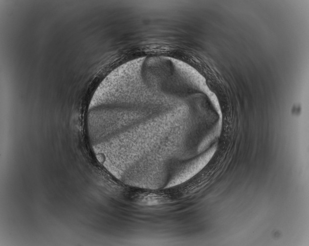 X0000099470755200805301556