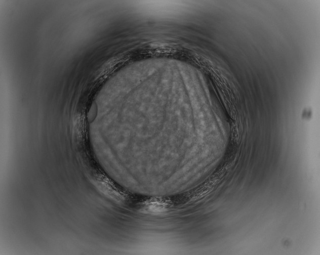 X0000099470756200805301556