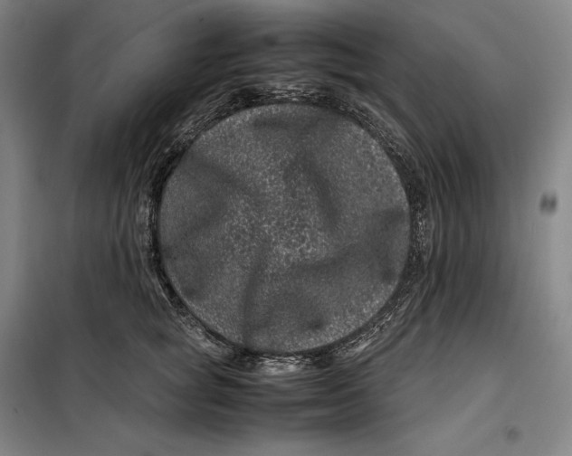 X0000099470757200805301556