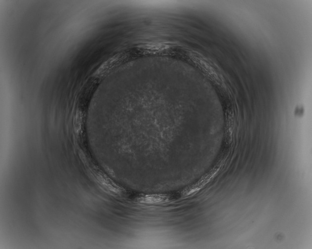 X0000099470758200805301556