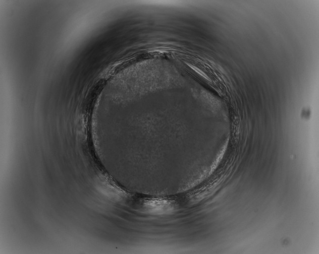 X0000099470759200805301556