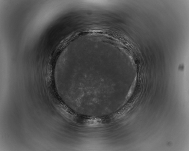 X0000099470760200805301556