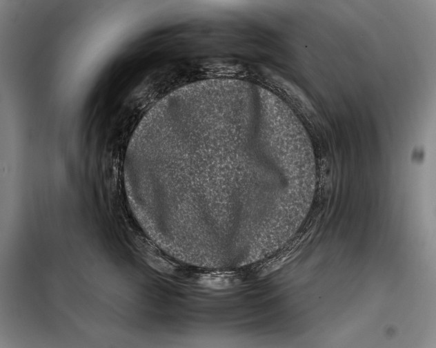 X0000099470761200805301556