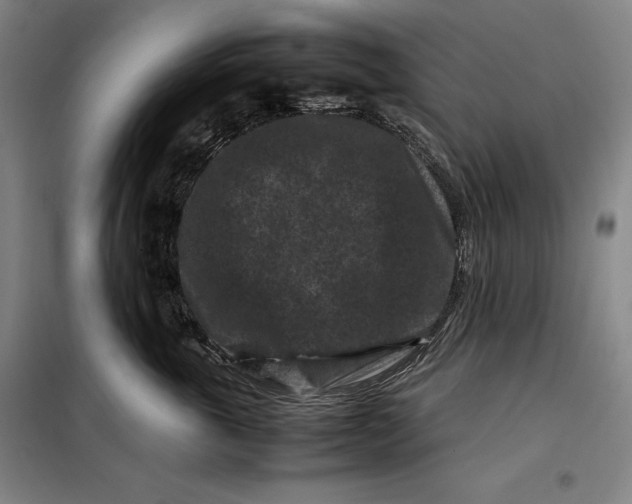 X0000099470763200805301556