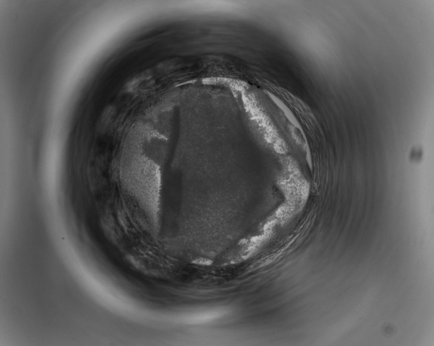 X0000099470765200805301556