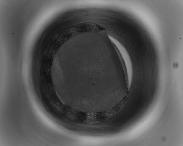 X0000099470766200805301556