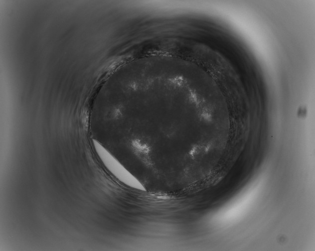 X0000099470767200805301556