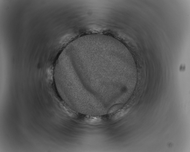 X0000099470768200805301556