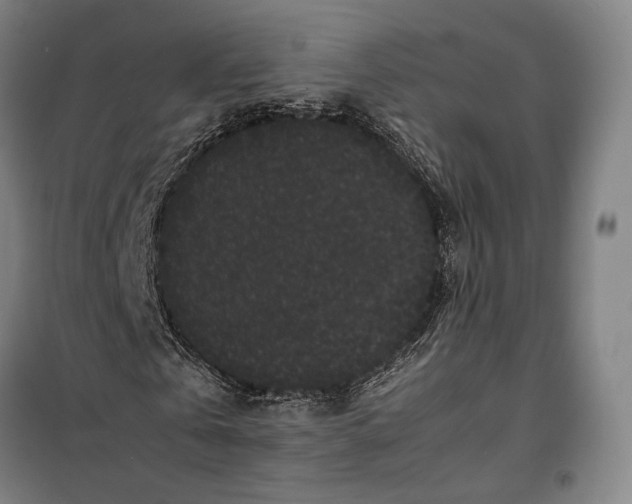 X0000099470769200805301555