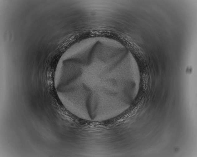 X0000099470770200805301555