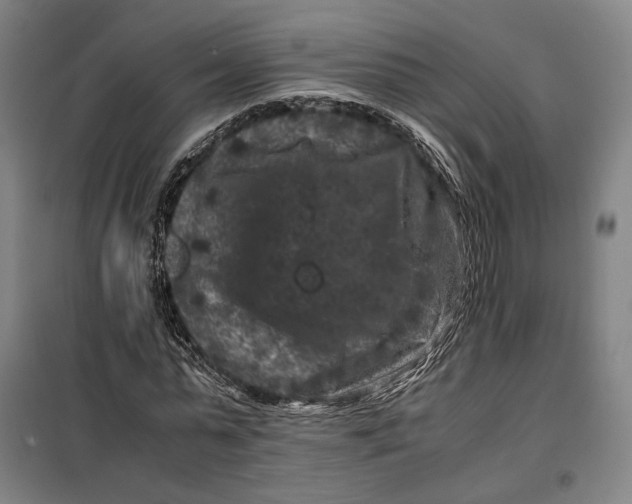 X0000099470775200805301555