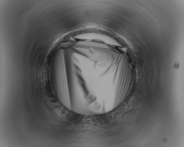 X0000099470776200805301555