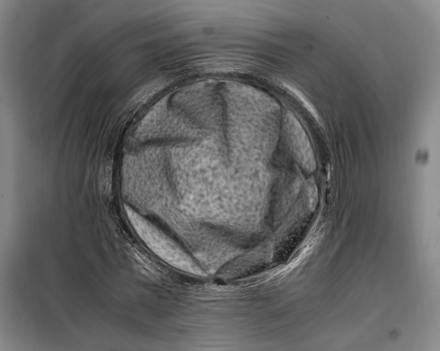 X0000099470777200805301555