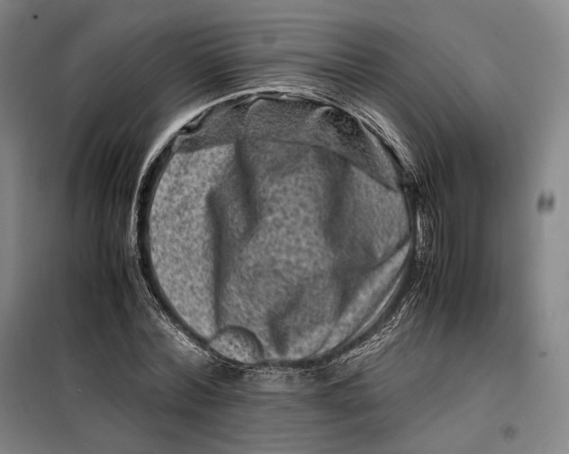 X0000099470780200805301555