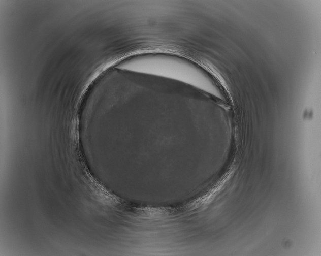 X0000099470781200805301555