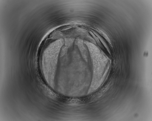 X0000099470784200805301555