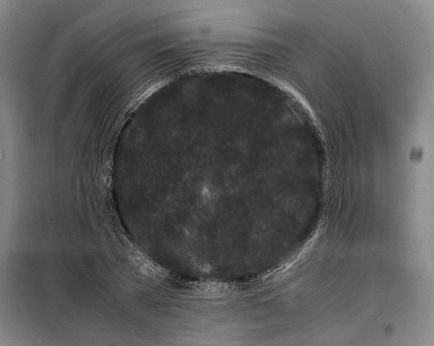 X0000099470785200805301555