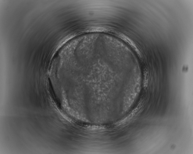 X0000099470786200805301555