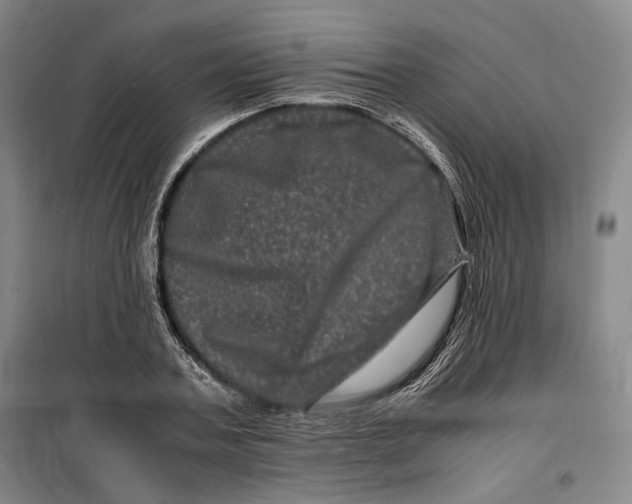 X0000099470787200805301555