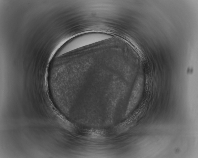 X0000099470788200805301555