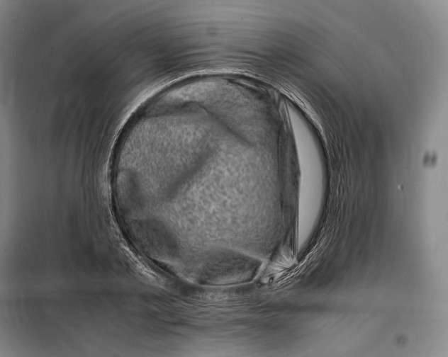 X0000099470789200805301555