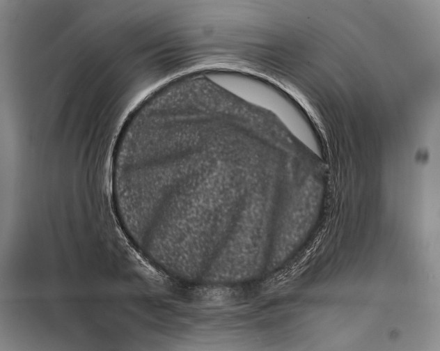 X0000099470791200805301555