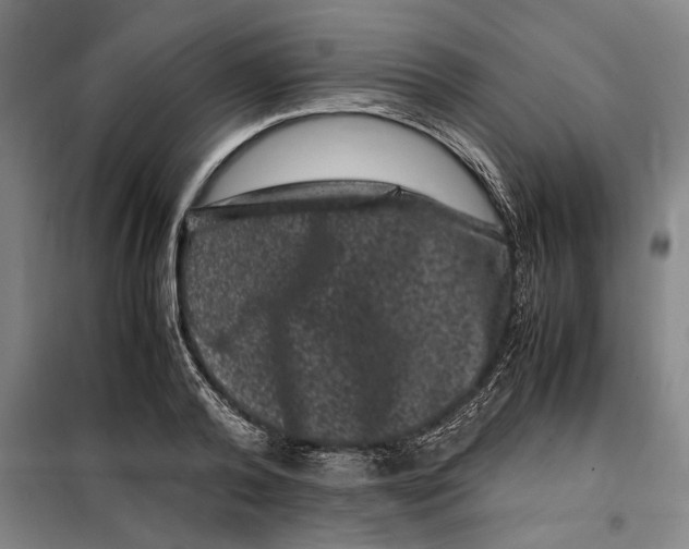 X0000099470792200805301555