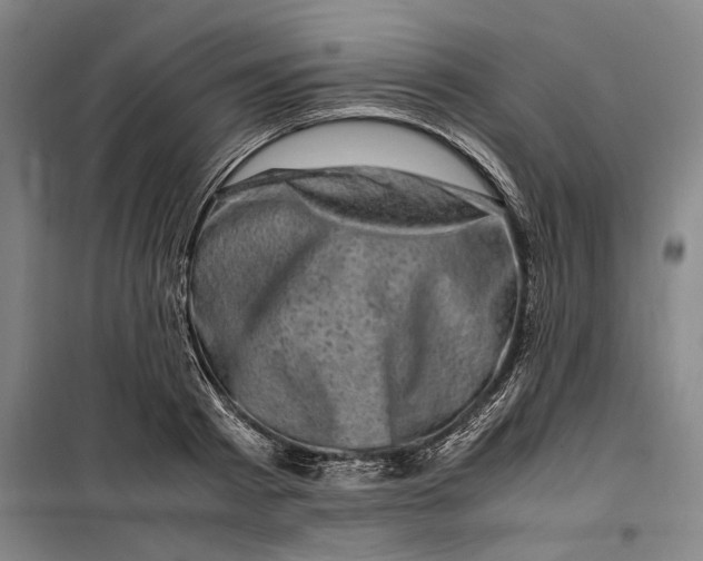 X0000099470793200805301555