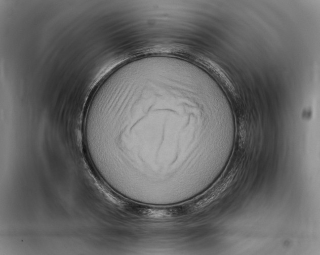 X0000099470794200805301555