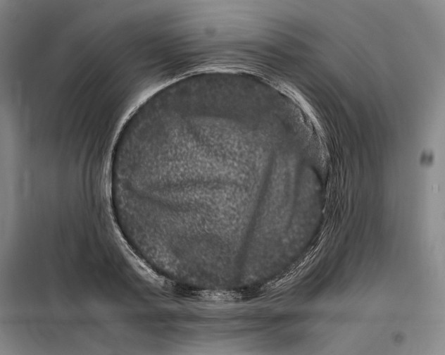 X0000099470795200805301555