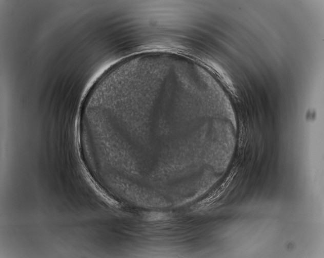 X0000099470796200805301555