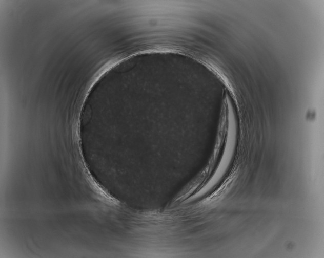 X0000099470797200805301555