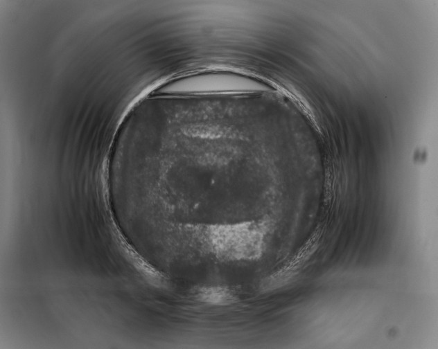 X0000099470798200805301555