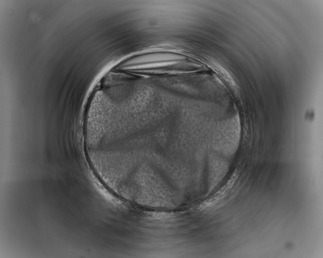 X0000099470800200805301555