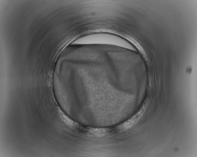 X0000099470801200805301555