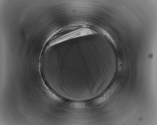 X0000099470802200805301555