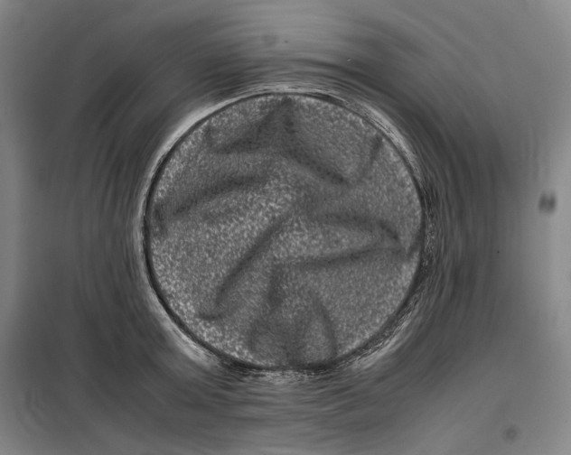 X0000099470803200805301555