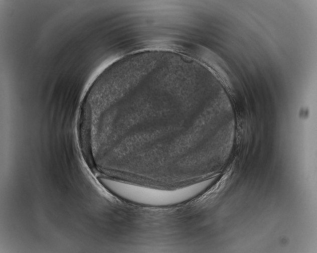 X0000099470804200805301555