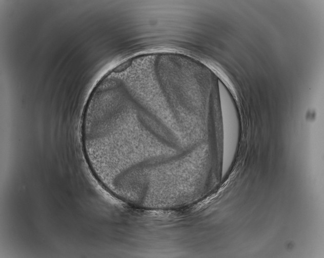 X0000099470805200805301555